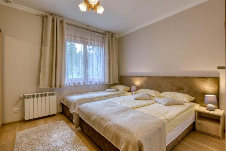 Pokoje Goscinne Dawidek Zakopane Kültér fotó